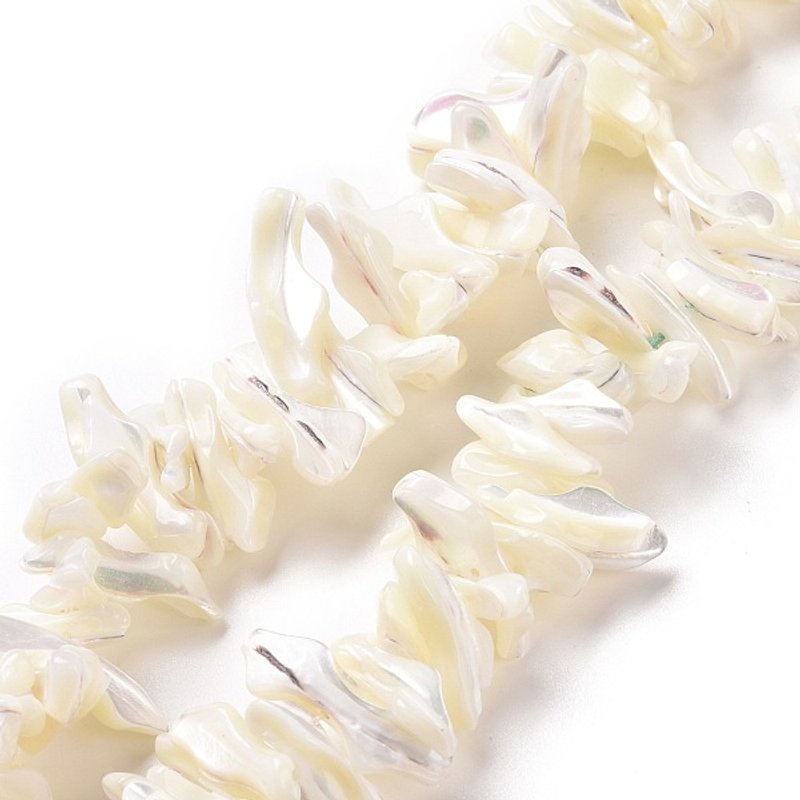 Natural Trochid Shell Beads Strands, White, 14.57-15.94 inch — Jewelry Beads