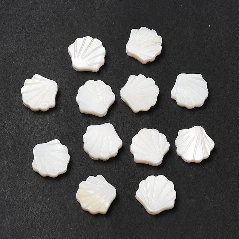 Natural Freshwater Shell Beads, Seashell Color, 13x13x3mm — Jewelry Beads