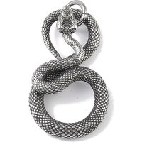 Pendentif en Acier Inoxydable 316 avec Charme de Serpent et Anneau — Breloques et pendentifs