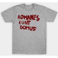 Romanes Eunt Domus - Life Of Brian T-Shirt pour hommes — T-shirts pour hommes