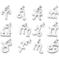 Pendentifs en Acier Inoxydable - Signes du Zodiaque - Ensemble de 12 — Breloques et pendentifs