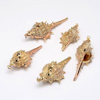 Pendants en Coquillage Conch Électroplaqué Or, 18-63mm — Breloques et pendentifs