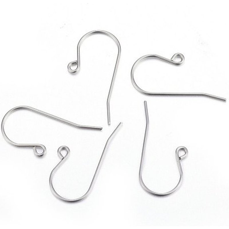 316 Stainless Steel Earring Hooks with Horizontal Loop — Jewelry Findings