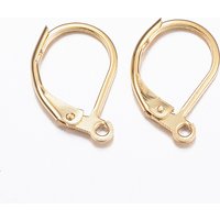 Trouvailles de boucles d'oreilles à fermoir à levier en acier inoxydable 316L avec boucles — Accessoires pour bijoux