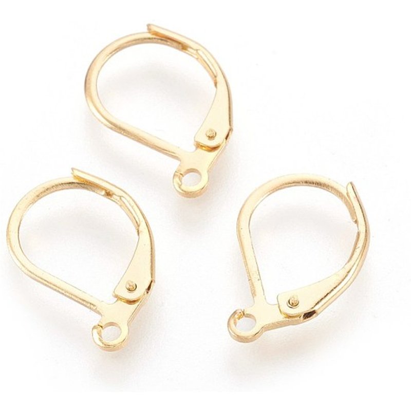 Trouvailles de boucles d'oreilles à crochet en acier inoxydable 304, plaquées or — Accessoires pour bijoux