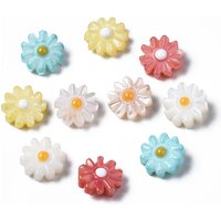 Perles de coquillage d'eau douce naturelles avec émail, fleur, couleurs mélangées