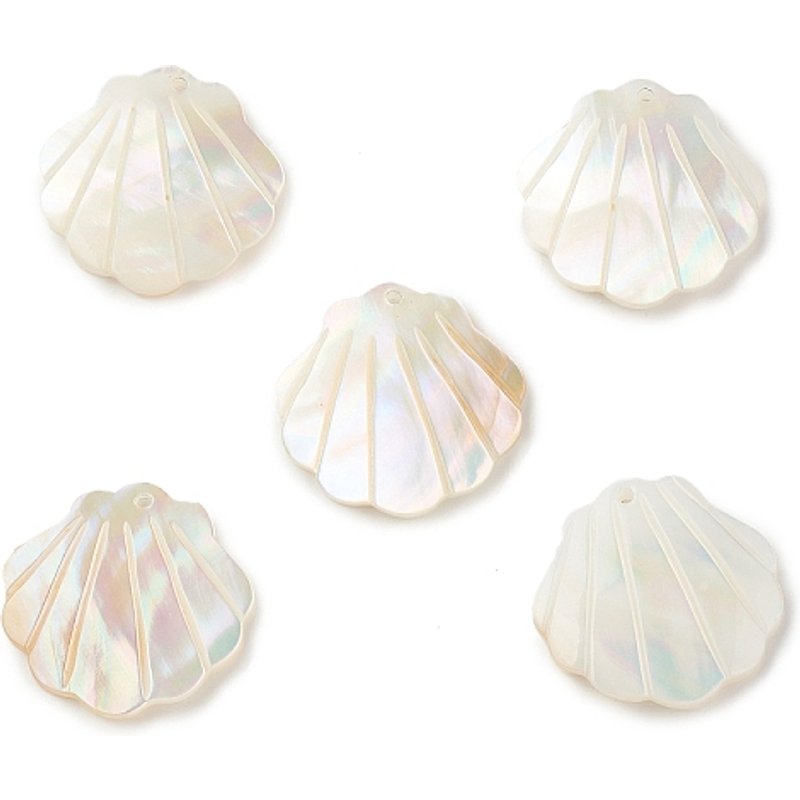 Natural Sea Shell Pendants, Shell Shape Charms, 21mm — Charms & Pendants