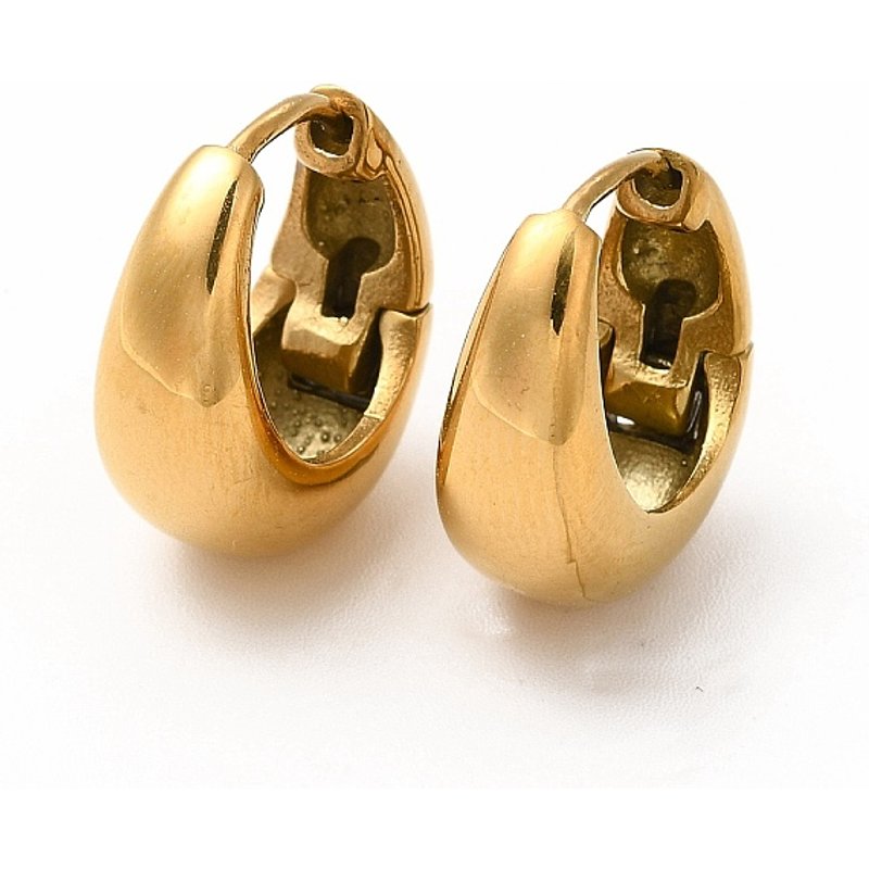 Boucles d'oreilles créoles épaisses en acier inoxydable 316 — Boucles d'oreilles créoles