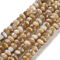 Natural Freshwater Shell Beads Strands, Rondelle, Camel, 5x3.5-4mm — Jewelry Beads