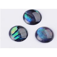 Abalone Shell/Paua Shell Cabochons, Half Round/Dome, 8x1-1.5mm