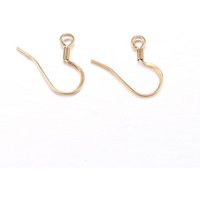 Crochets de Boucles d'Oreilles Français en Acier Inoxydable 304 Ion Plating, Doré — Accessoires pour bijoux