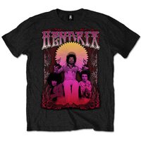 Jimi Hendrix Experience Ferris Wheel Rock T-Shirt for Men