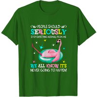 T-shirt humoristique Flamingo Stop Expecting Normal From Me pour hommes