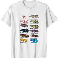 Types of Axolotls Men's T-Shirt — Mens T Shirts