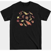 Cambrian Critters Science T-Shirt for Men — Mens T Shirts