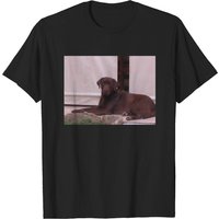 T-shirt pour hommes Chocolate Lab Laying — T-shirts pour hommes