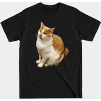 T-shirt pour hommes avec chat orange et blanc à poils courts