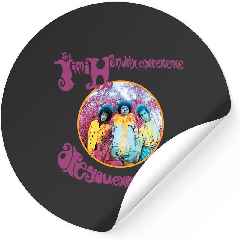 Jimi Hendrix Are You Experienced Sticker — Stickers & Decals