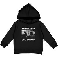 Beastie Boys Check Your Head Kids Pullover Hoodie — Mens Hoodies