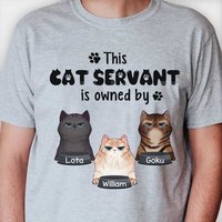 This Cat Servant Is Owned By Personalized T-Shirt for Men — Mens T Shirts