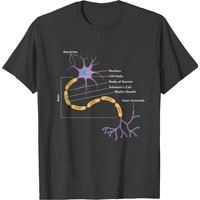 Anatomy of Neuron T-Shirt for Neuroscientists - Black — Mens T Shirts