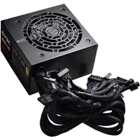 Evga 100-GD-0600-V1 Alimentation de 600 Watts 80-Plus Gold — Blocs d'alimentation