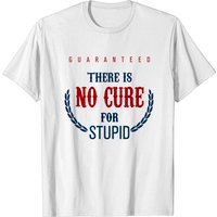 T-shirt humoristique No Cure For Stupid pour hommes — T-shirts pour hommes