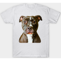 T-shirt pour hommes Pit Bull Dog en bleu royal — T-shirts pour hommes