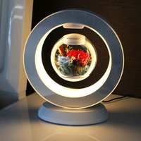 Lampe Florale à Lévitation Magnétique AuraGlow — Cartes-cadeaux
