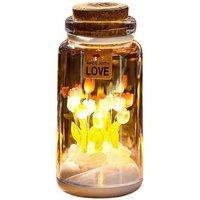 Enchanted Tulip Glow Bottle Nightlight — Gift Cards
