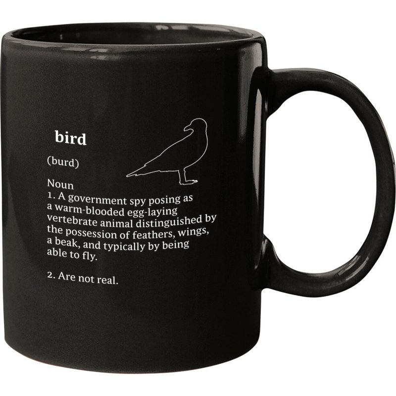 Birds Aren't Real Dictionary Minimalist Mug — Mugs & Tumblers