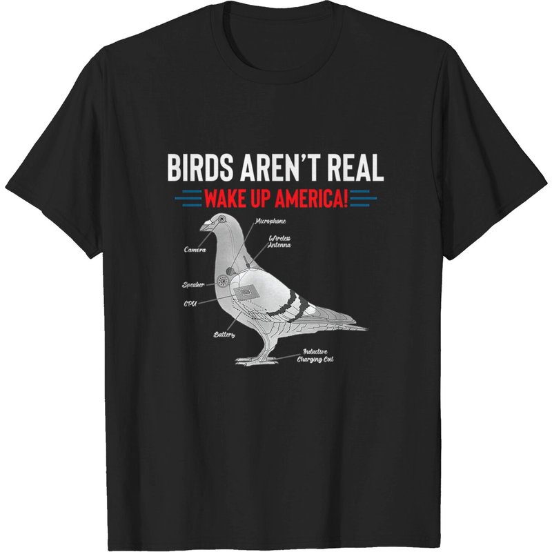 T-shirt Birds Aren’t Real pour hommes en noir — T-shirts pour hommes