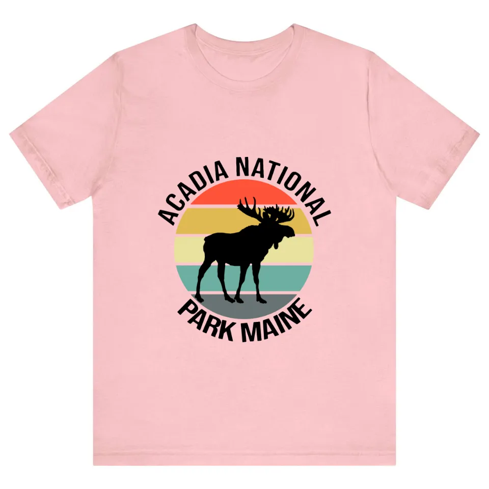 Acadia National Park Men's T-Shirt