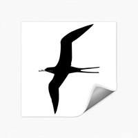 Autocollants Frigate Bird - Design carré classique — Autocollants et stickers
