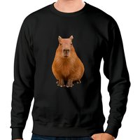 Sweatshirt unisexe Capybara en mélange lourd — Sweats à capuche pour hommes