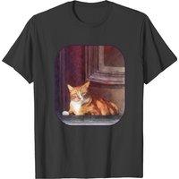 T-shirt Cats Orange Tabby dans l'Entrée pour Hommes