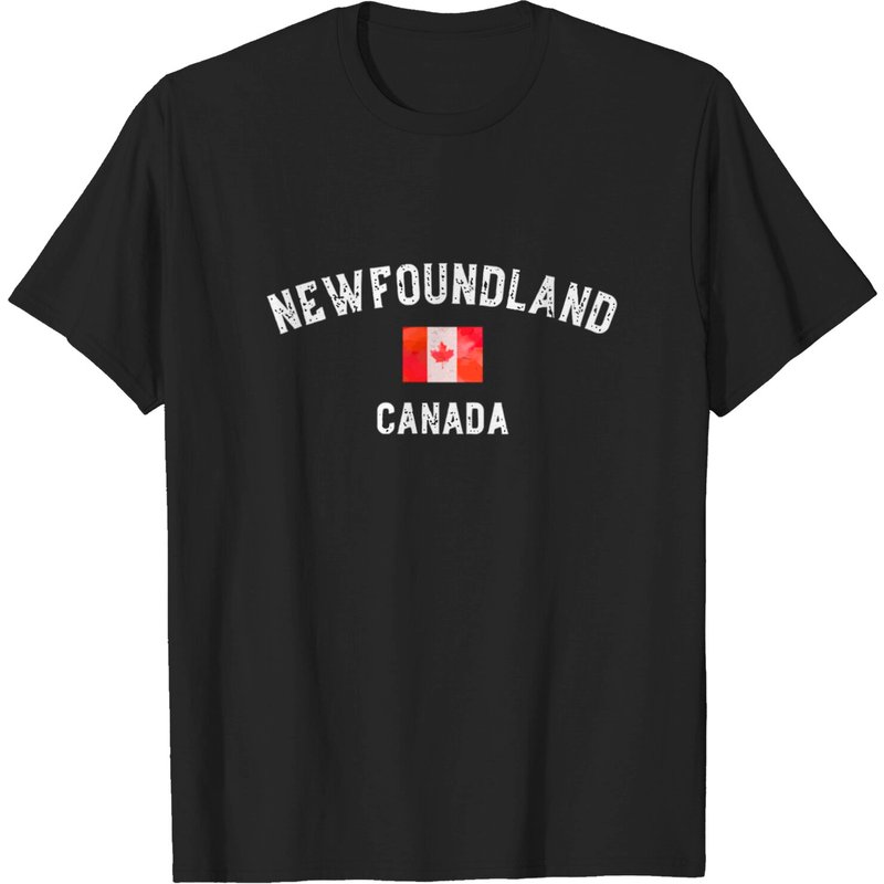 T-shirt Vintage Drapeau du Canada de Terre-Neuve pour Hommes — T-shirts pour hommes