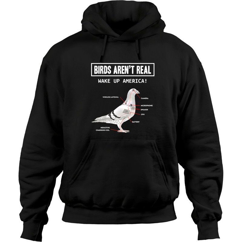 Hoodies Unisex Birds Aren’t Real Noir — Sweats à capuche pour hommes