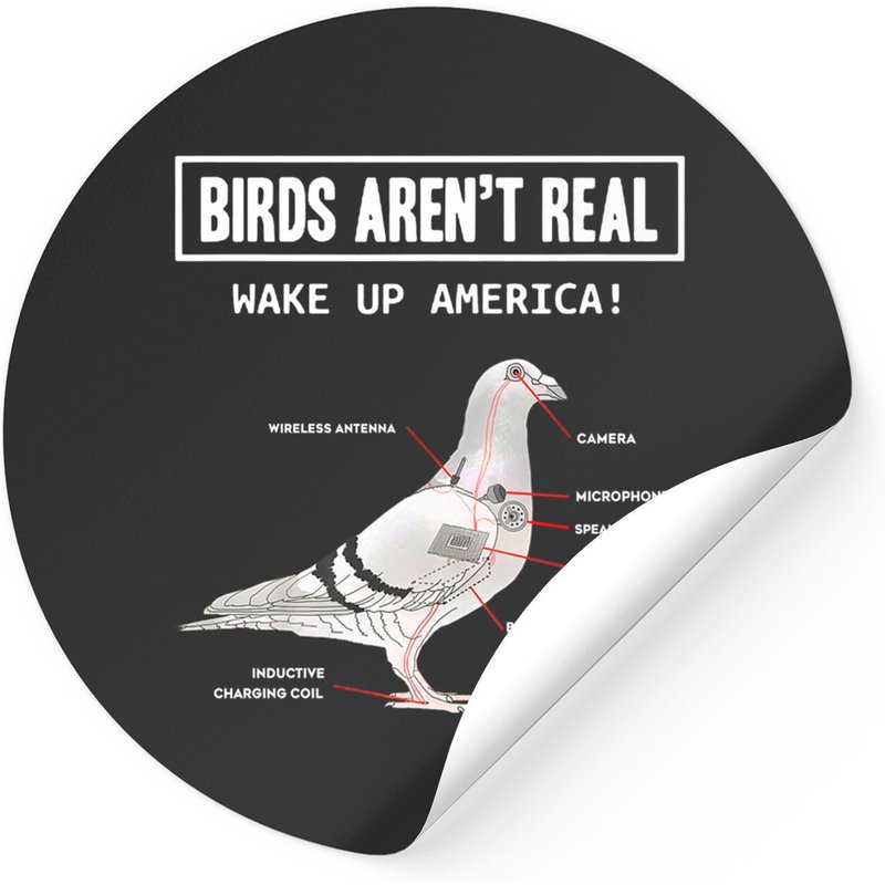 Birds Aren’t Real Stickers - Classic Square Style — Stickers & Decals