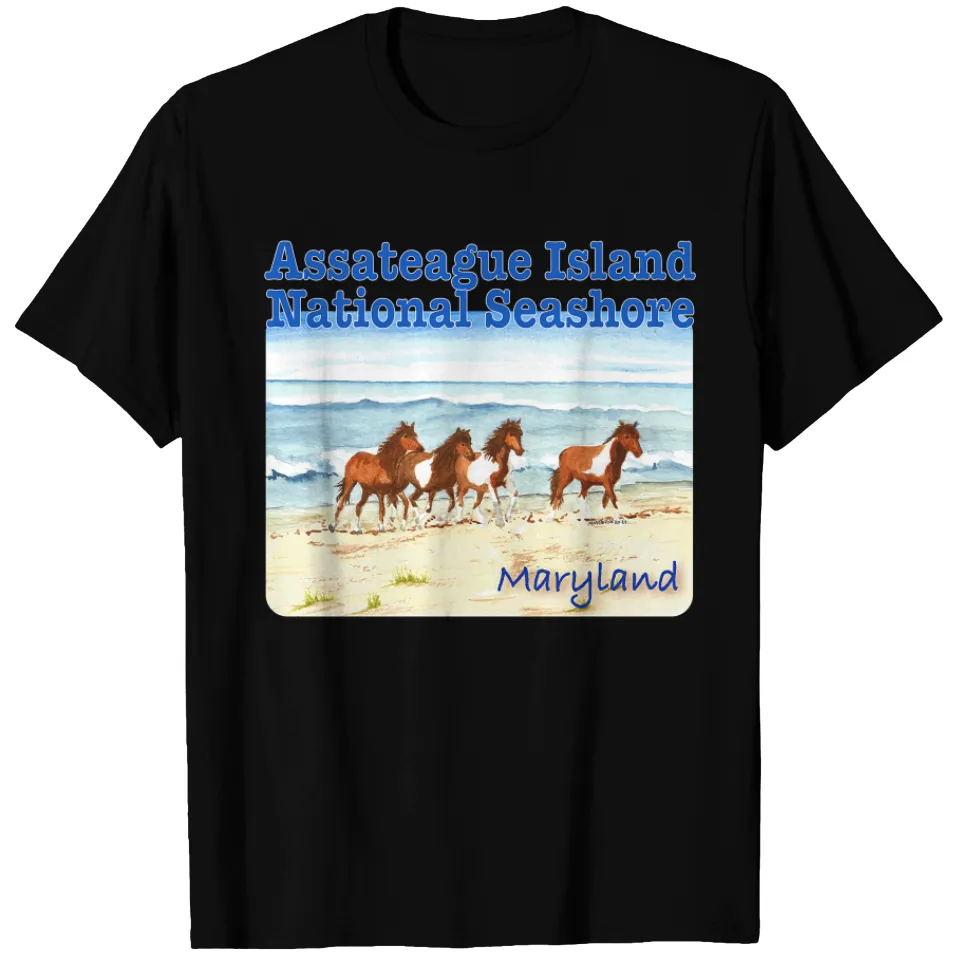 T-shirt pour hommes Assateague Island National Seashore Chevaux Sauvages — T-shirts pour hommes