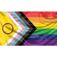 Intersex Inclusive Progress Pride Flag for House Display