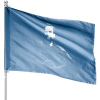 Neil Diamond Digital Art House Flags