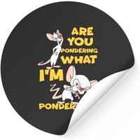 Pinky And The Brain Pondering Stickers