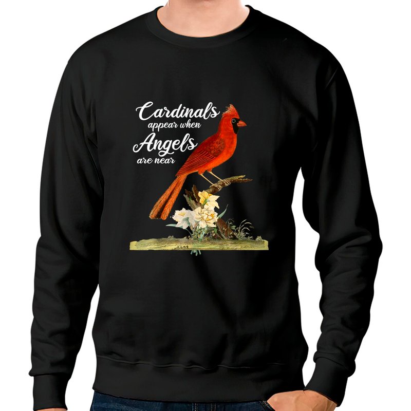 Sweat-shirt Unisexe Cardinal Bird Appear When Angels Are Near — Sweats à capuche pour hommes