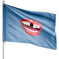 Drapeaux de Maison Sourire Ouvert avec Dent Manquante — Drapeaux décoratifs