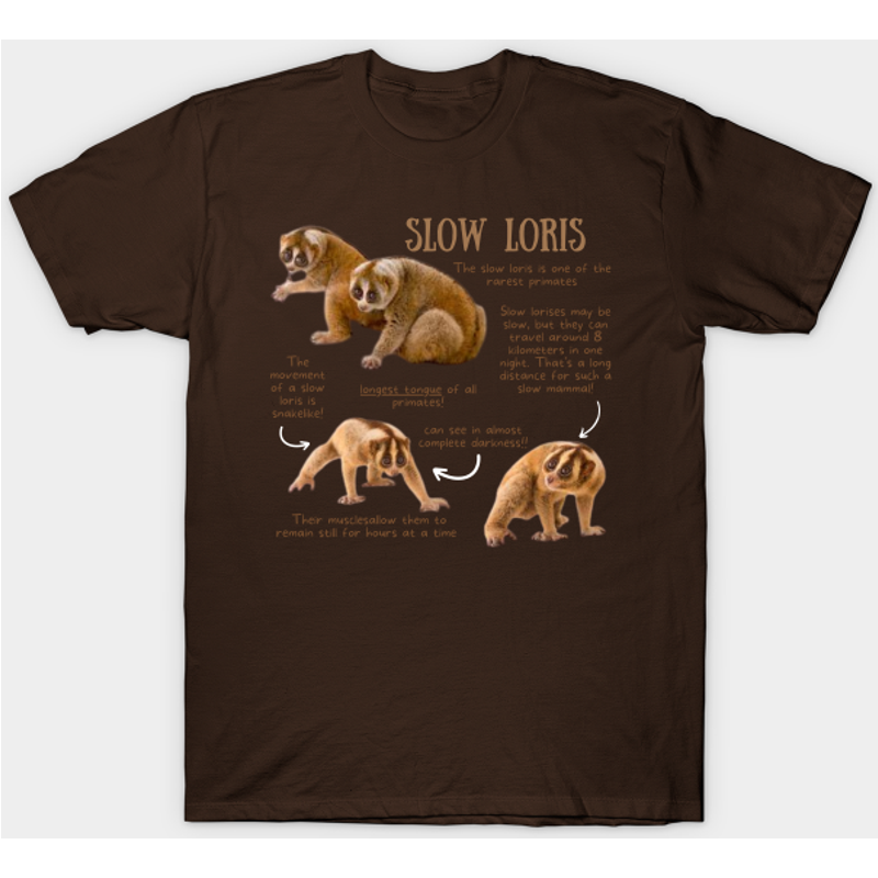 T-shirt pour hommes Slow Loris - Faits sur les animaux — T-shirts pour hommes