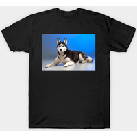 Siberian Husky Men's T-Shirt in Black