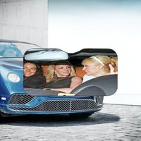 Britney Spears Lindsay Lohan Paris Hilton Car Accessory Shade Funny