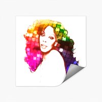 Donna Summer Rainbow Stickers | Donna Summer