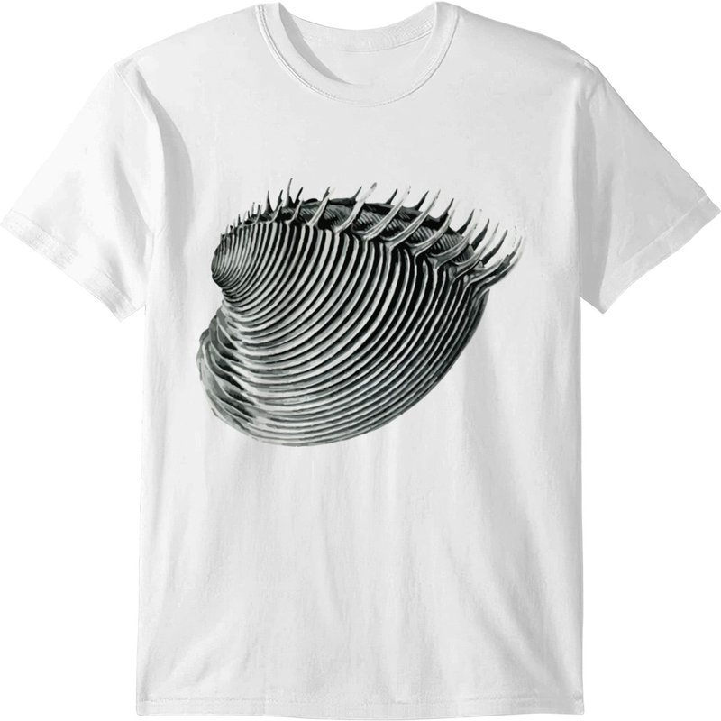Bivalve 2 Cytherea Dione T-shirt — T-shirts pour hommes
